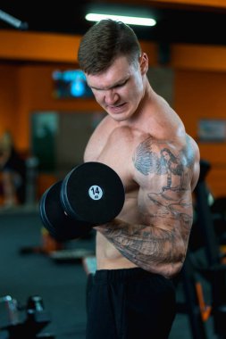 Sporcu kasları pompalar, sağlıklı beslenme ve yaşam tarzı konsepti, spor aşkı, fitness.