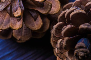 Çam kozalakları makro fotoğraf ile kış arka plan