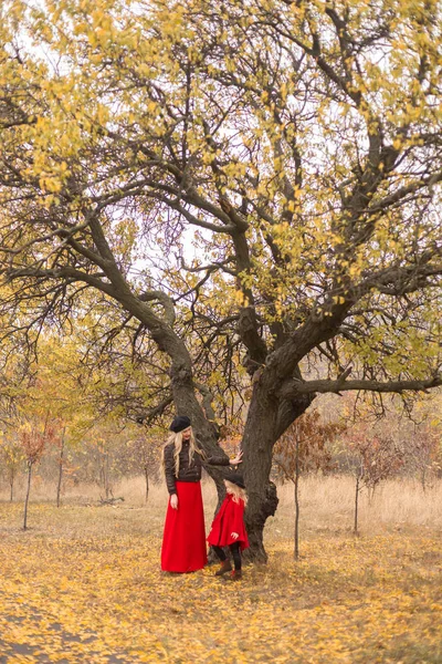 Holčička Červeném Kabátě Běží Kolem Starého Stromu Podzimní Zahradě Její — Stock fotografie