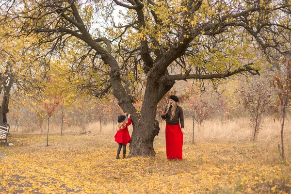 Uma Menina Casaco Vermelho Corre Torno Uma Árvore Velha Jardim — Fotografia de Stock