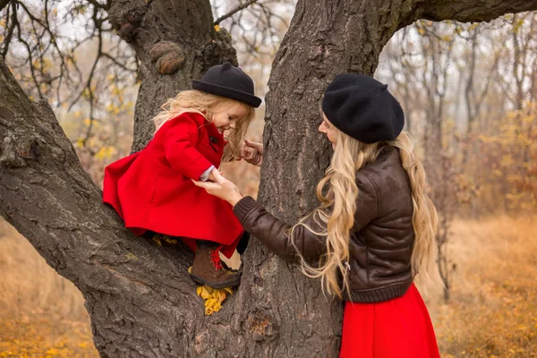 Маленькая Девочка Красном Пальто Залезла Старое Дерево Мать Поддерживает — стоковое фото
