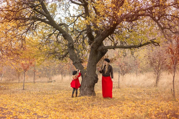 Uma Menina Casaco Vermelho Corre Torno Uma Árvore Velha Jardim — Fotografia de Stock