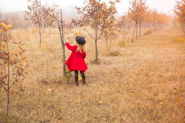 Holčička Červeném Kabátě Shromažďuje Spadané Listí Stromů Podzimní Zahradě — Stock fotografie