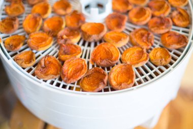 Olgun Olgun kayısı segmentlerinin vitaminler korumak için bir elektrikli kurutma makinesi beyaz renkte kurutulur