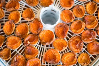 Olgun Olgun kayısı segmentlerinin vitaminler korumak için bir elektrikli kurutma makinesi beyaz renkte kurutulur