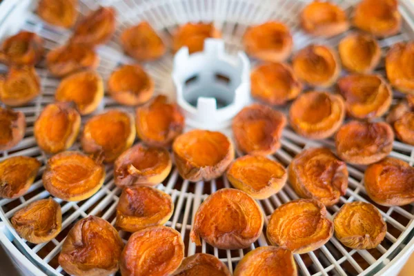 Olgun Olgun kayısı segmentlerinin vitaminler korumak için bir elektrikli kurutma makinesi beyaz renkte kurutulur