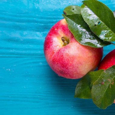 metin için yer ahşap bir zemin üzerine şube yalanla iki Olgun elma