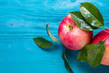 metin için yer ahşap bir zemin üzerine şube yalanla iki Olgun elma