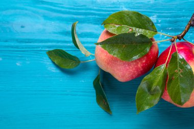 metin için yer ahşap bir zemin üzerine şube yalanla iki Olgun elma