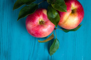 Olgun kırmızı elma ile şube ahşap bir arka plan üzerinde yatıyor