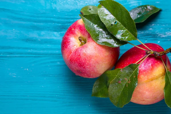 metin için yer ahşap bir zemin üzerine şube yalanla iki Olgun elma