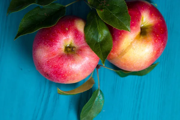 Olgun kırmızı elma ile şube ahşap bir arka plan üzerinde yatıyor