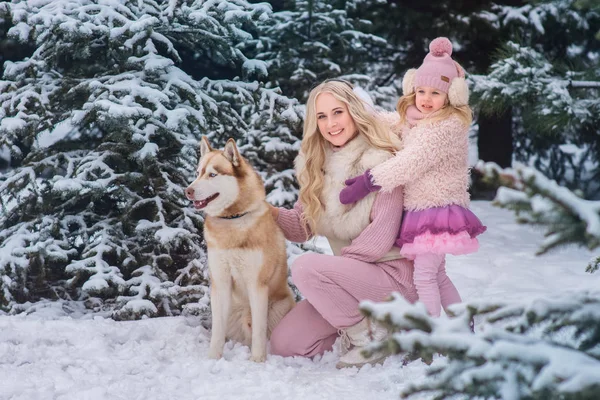 a young blonde mom with long curls and her little sweet little daughter in a tulle skirt walking a husky dog dog with special eyes in a snow-covered park with pines.