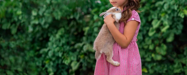 Dívka Drží Roztomilý Malý Králík Venkovní Focení — Stock fotografie