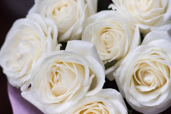 Roses blanches sur fond noir avec gouttes d'eau et pétales roses . — Photo