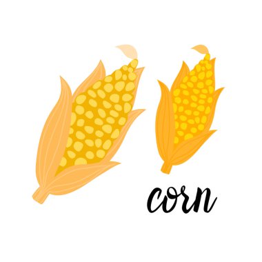 Karikatür Corncob Turuncu Vektör ilustration beyaz arka plan üzerinde izole.