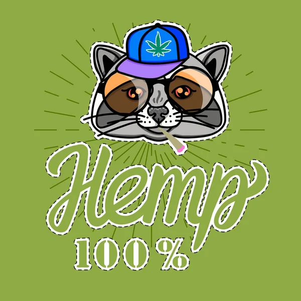 Raccoon boy in cool hip hop style. Vector for print on T-shirts and other souvenir products. Hemp lettering isolated on green background — Stock Vector