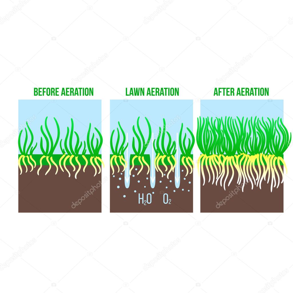 Lawn aeration stage illustration. Gardening grass lawncare, landscaping service. Vector isolated on white