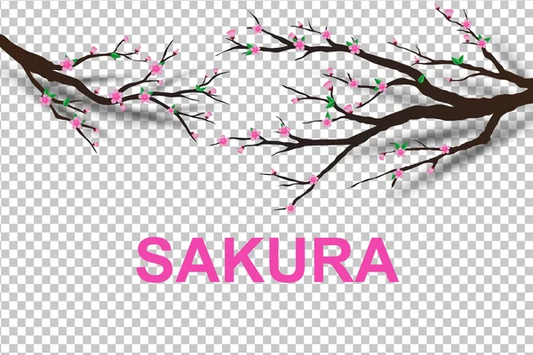 Arte Papel Árvore Sakura Tradicional Para Feliz Ano Novo Chinês — Vetor de Stock