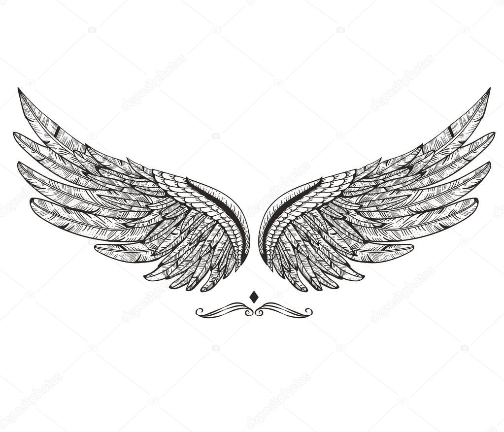 Vintage wings isolated on white background. Design elements for logo, label, emblem, sign, brand mark. Vector illustration.