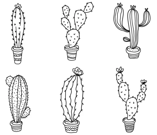 Cactus isolé sur fond blanc. Vecteur, illustration d'ensemble dessinée à la main . — Image vectorielle