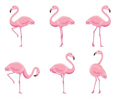 Karikatür pembe flamingo vektör kümesi. Şirin flamingolar koleksiyonu.