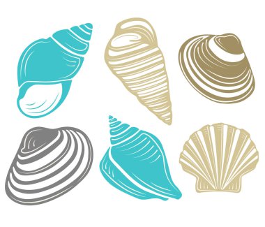 çeşitli mavi deniz kabukları ve deniz yıldızı dizi