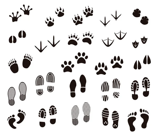 Vector illustration set of different foot and paw tracks of people, wild and domestic animals and birds isolated on white background - monochrome silhouettes of various footprints. — Stock Vector