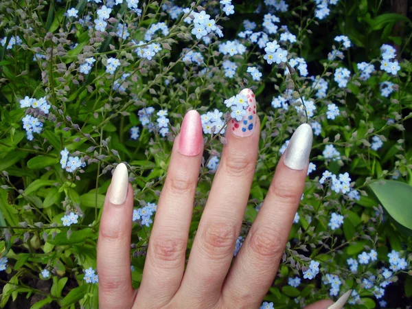 Glamorous multicolor manicure on women's hands and forget-me-nots.  Nail Art Design — Stock Photo, Image