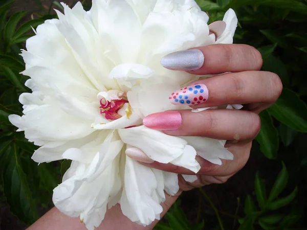 Peonia in un giardino e una mano femminile con manicure beuatiful — Foto Stock