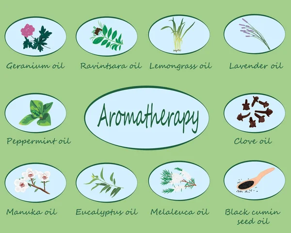 Conjunto de óleos essenciais ilustração vetorial Aromaterapia — Vetor de Stock
