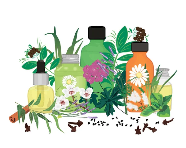 Conjunto de aceites esenciales vector ilustración Aromaterapia — Vector de stock