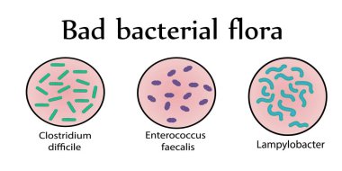 Intestinal bacterial flora. Bad bacteria. Vector illustration clipart