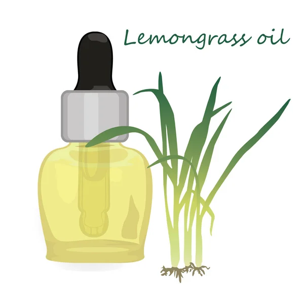 Ароматерапия эфирного масла лимонной травы — стоковый вектор