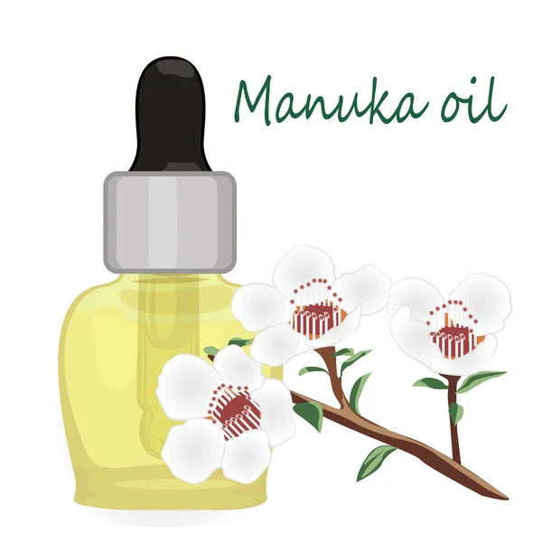 Manuka eterisk olja vektorillustration aromaterapi. Hälso-och sjukvård — Stock vektor