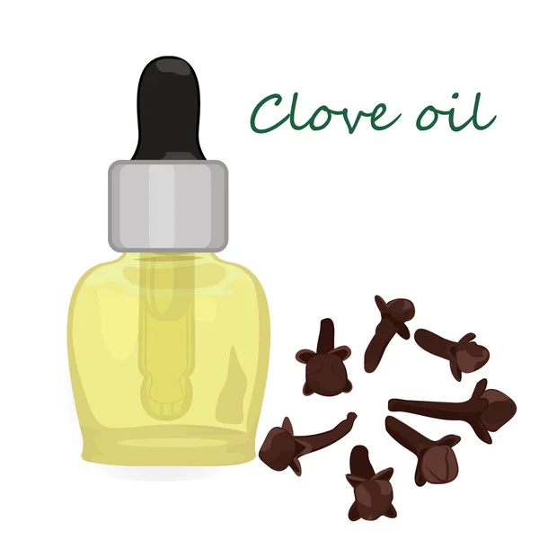 Ilustración del vector de aceite esencial de clavo Aromaterapia — Vector de stock