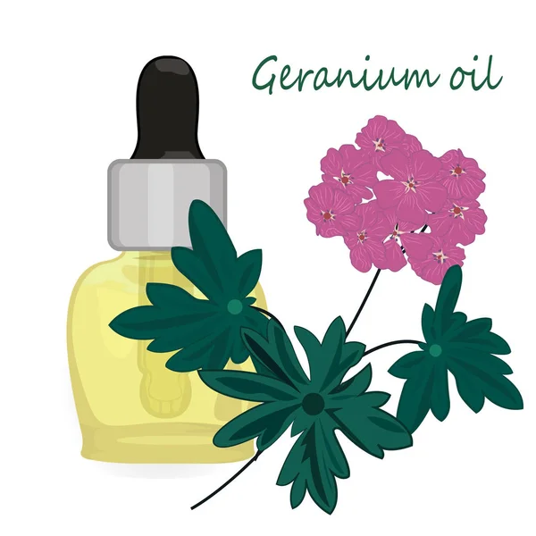 Ilustración del vector de aceite esencial de geranio Aromaterapia — Vector de stock