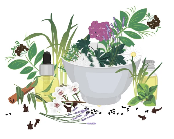 Illóolajok vektoros illusztráció aromaterápiás szett — Stock Vector