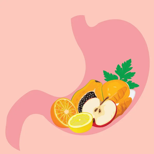 Forme de l'estomac plein de repas sains. Concept de digestion saine. Repas de régime — Image vectorielle