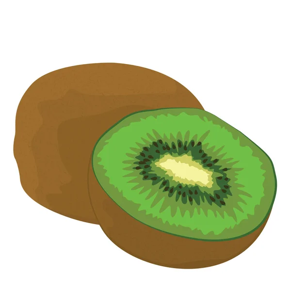 Illustration vectorielle kiwi — Image vectorielle