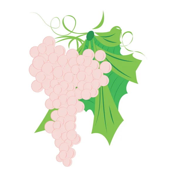 Група винограду Векторні ілюстрації на білому тлі — стоковий вектор