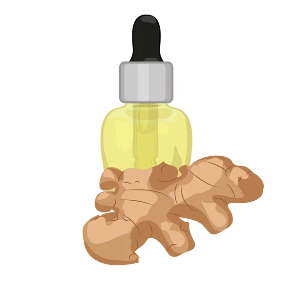 Ginger, základní olej v kapátko — Stockový vektor