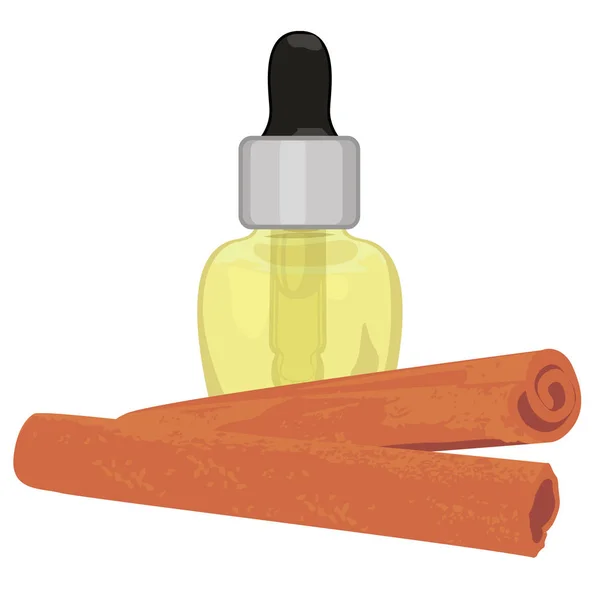 Cinnamon sticks essential oil in a dropper — Stock Vector
