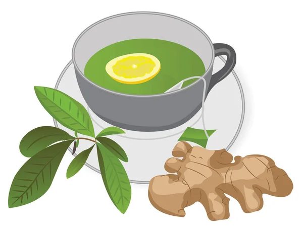 En kopp grönt te med en ingefära och en citron — Stock vektor