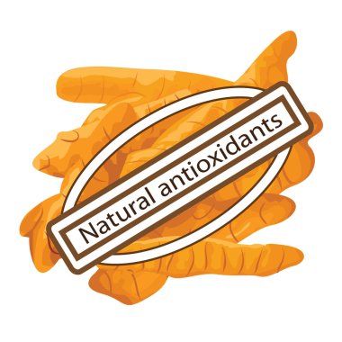 doğal antioksidan zerdeçal baharat