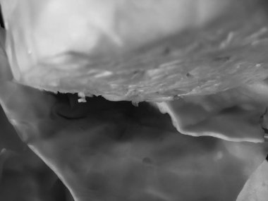 Makroyu kapatın beyaz doğal lahana, soyut doku arka plan resmi fotoğrafı