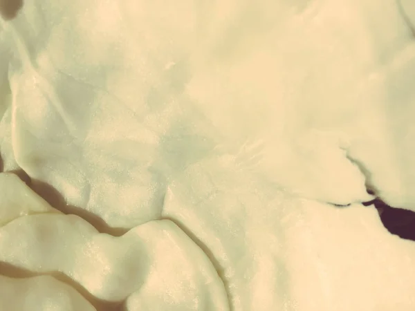 Μακροεντολή Κοντινό Φωτογραφία Της Λευκής Φυσικό Λάχανο Αφηρημένη Υφή Φόντου — Φωτογραφία Αρχείου