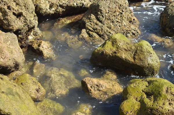 Doğal taş gri renk dokulu arka plan