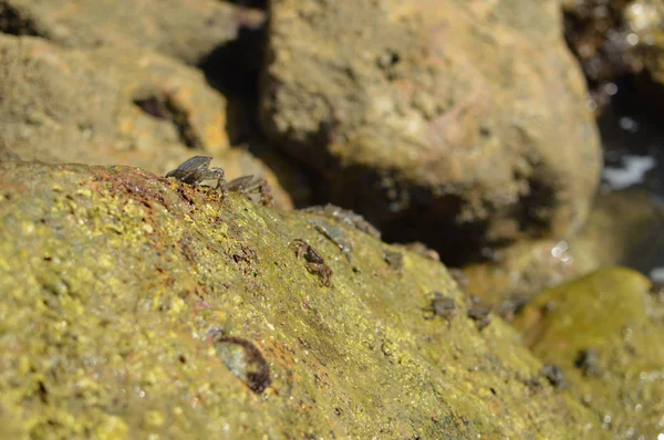 Doğal taş gri renk dokulu arka plan