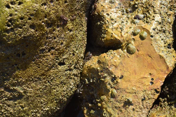 Doğal taş gri renk dokulu arka plan